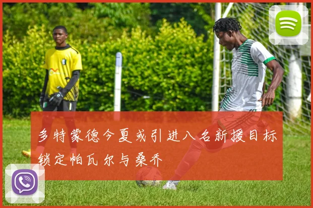 多特蒙德今夏或引进八名新援目标锁定帕瓦尔与桑乔