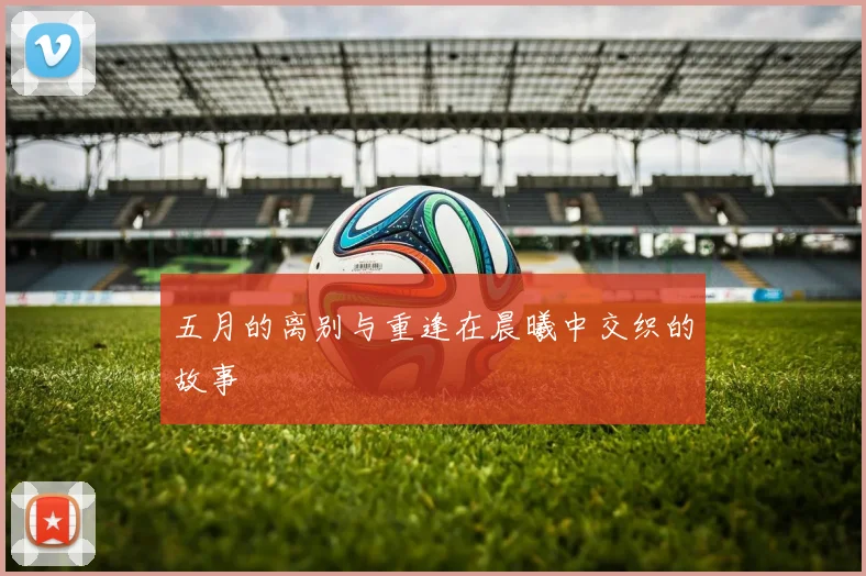 五月的离别与重逢在晨曦中交织的故事