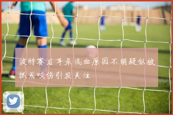 波特赛后耳朵流血原因不明疑似被抓或咬伤引发关注